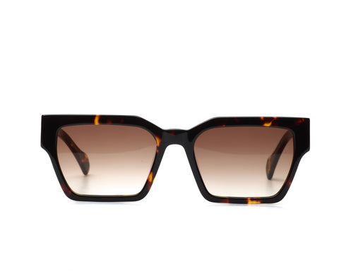 Age Eyewear Brown Tortoise Frames with Brown gradient lenses