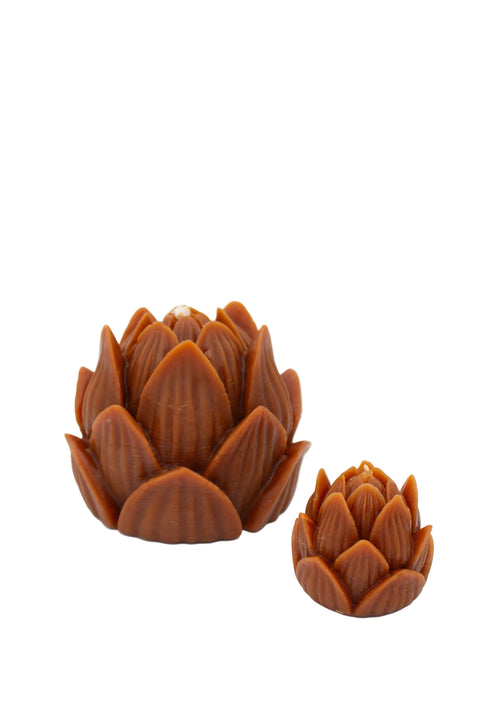 Large Lotus | Amber