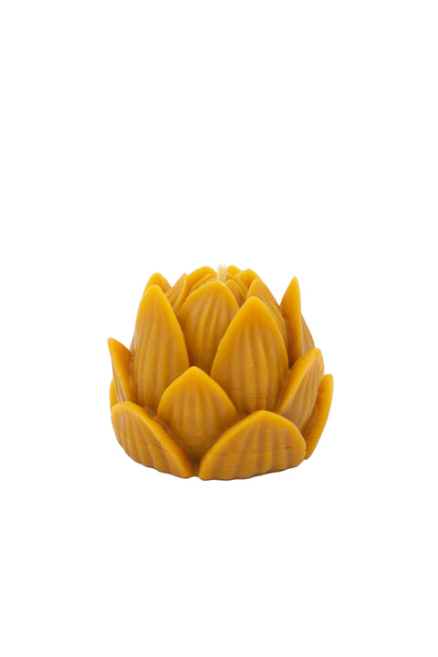 Large Lotus | Olive