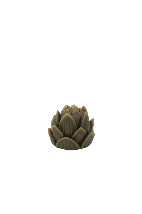 Mini Lotus | Olive