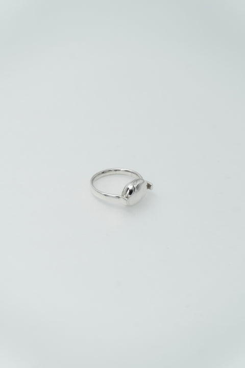 Kevin Thorne U Ring