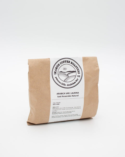 Subtropical Dream to NZ Coffee Pioneer: Ikarus Coffee