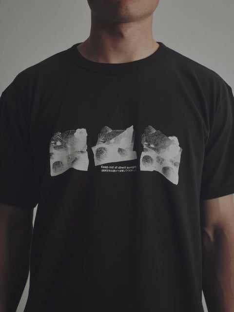 Kitten Print Black t-shirt