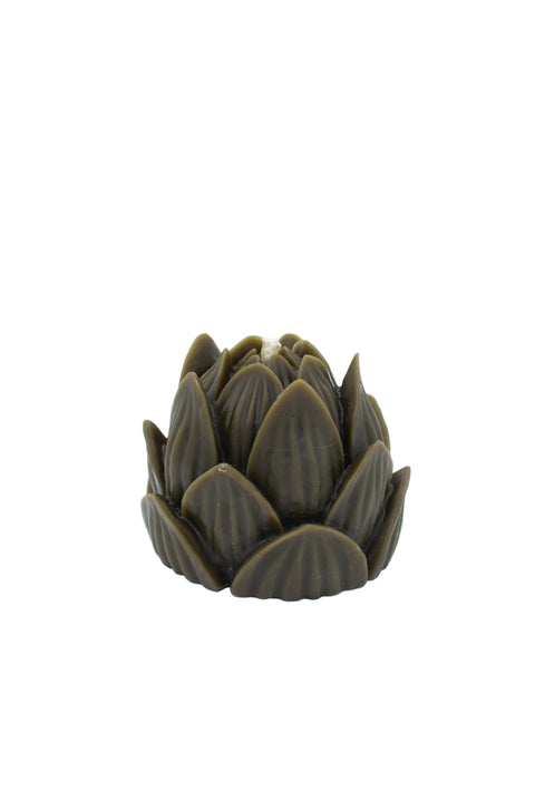 Large Lotus | Olive