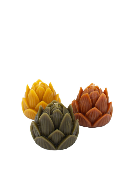 Large Lotus | Olive