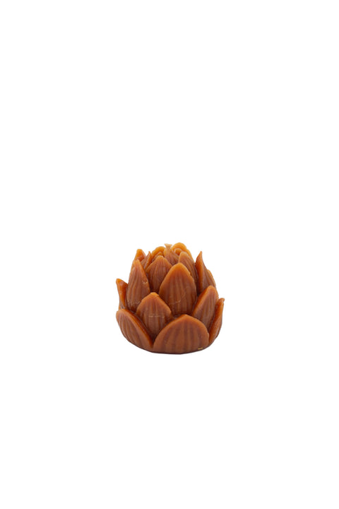Mini Lotus | Amber