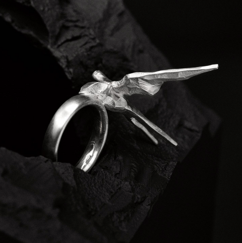 Kevin Thorne Rise Bird Ring